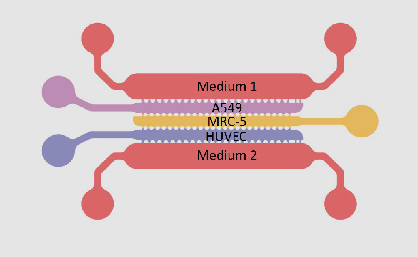 BRE (Bioprinting & Regenerative Engineering)